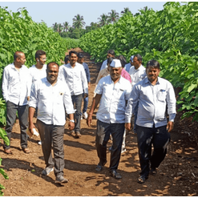 Purandar Highlands